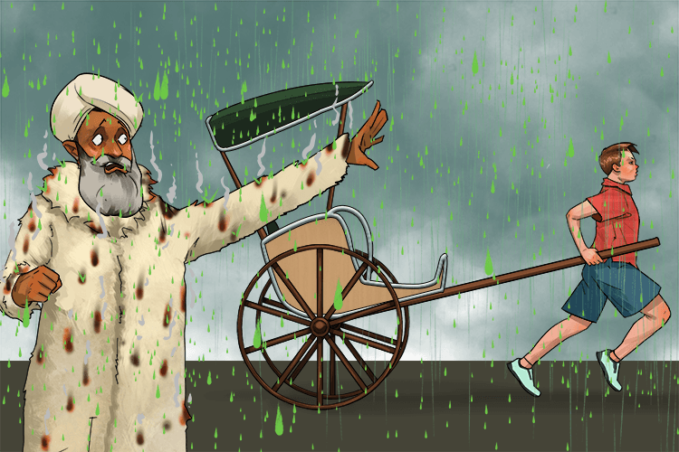 The acid rain damaged the sultan's fur (sulfuric acid) coat at night, so he jumped into a rickshaw (nitric acid)